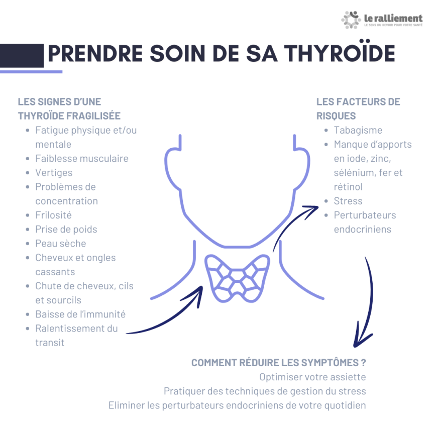 thyroïde