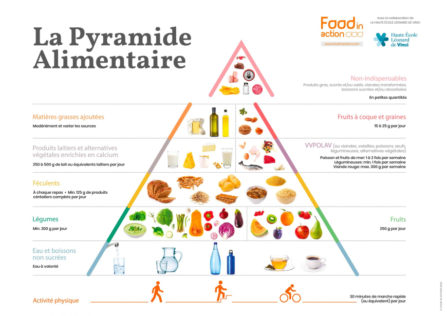 L'équilibre alimentaire : Qu'est ce que c'est ?